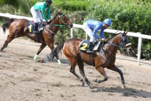 ENARETI 6-060517