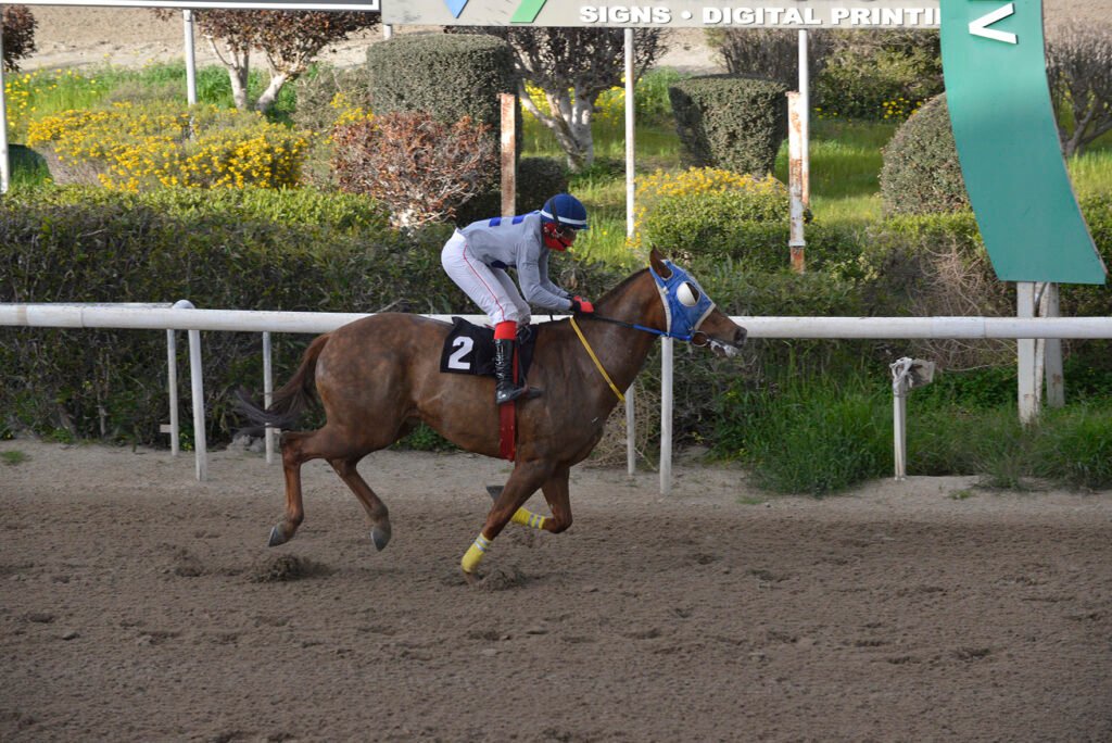 ESTHIR 26.2.25_STK9224