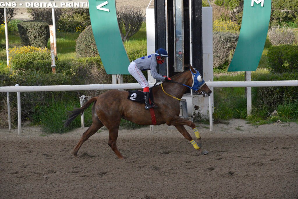 ESTHIR 26.2.25_STK9225