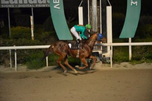 HAWAII AUTHORITY 26.2.25_STK9296