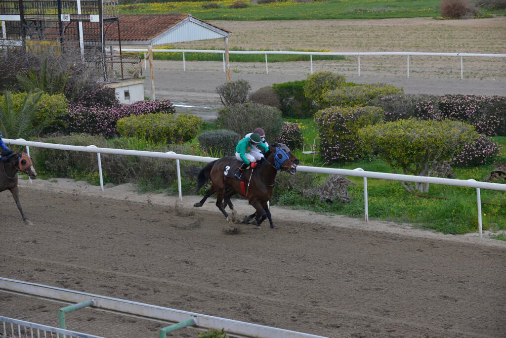 HAWAII MAJESTIC 16.2.25_STK8918