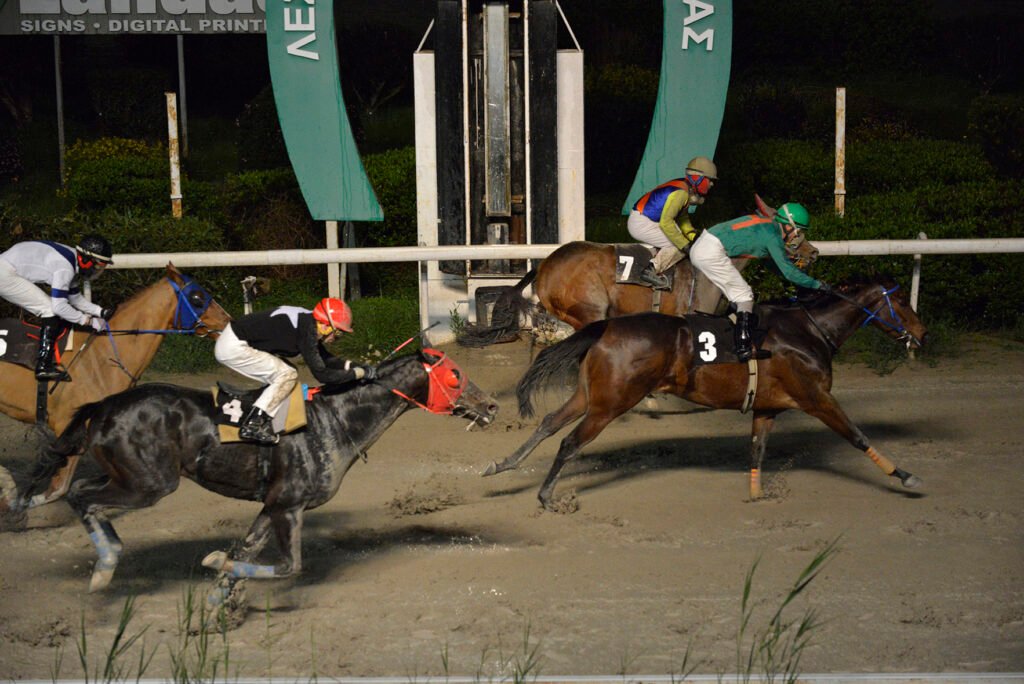 HAWAII OPORTUNITY 5.2.25_STK7896