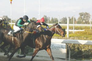 HAWAI_JOKER_2-080204