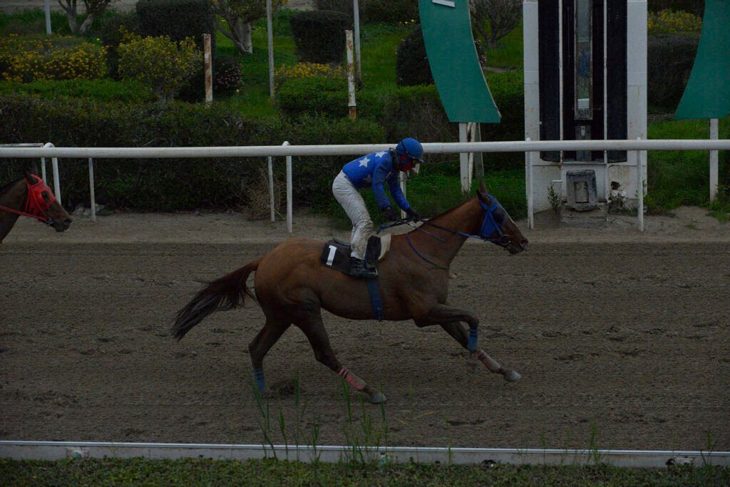 KAMPANABEACHBAR 5.2.25_STK7853