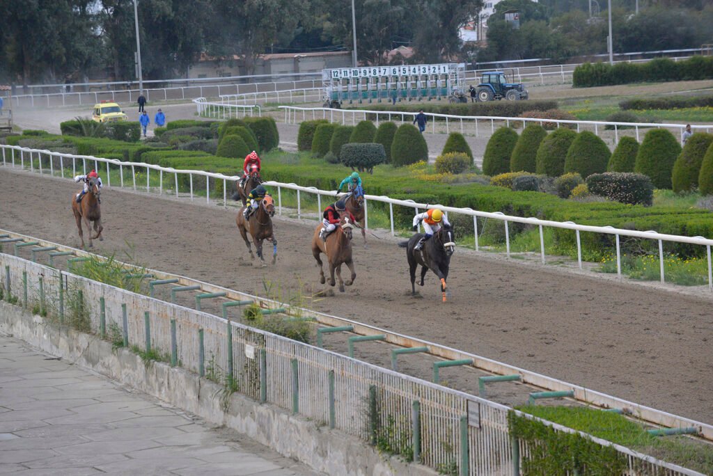 KING VAKLAS – AIMILIOU TAVERNARI_STK7947