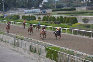 KING VAKLAS – AIMILIOU TAVERNARI_STK7948