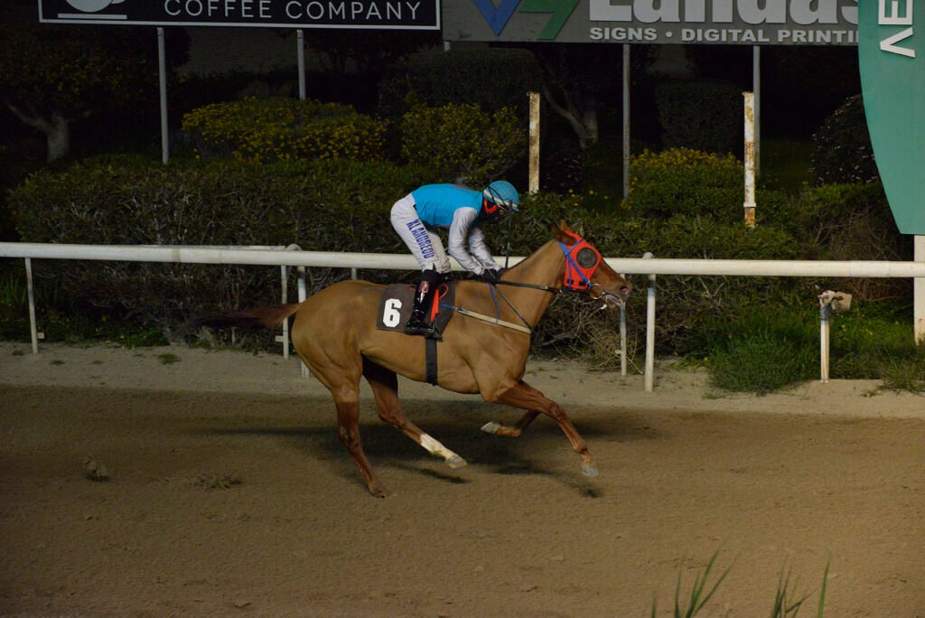 LEXEO VENTUARE_STK9195