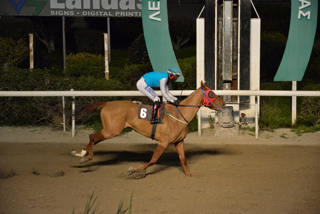 LEXEO VENTUARE_STK9196