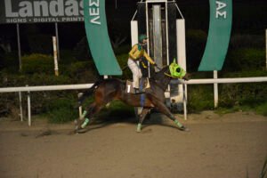 MARIOS AGELOS_STK8124