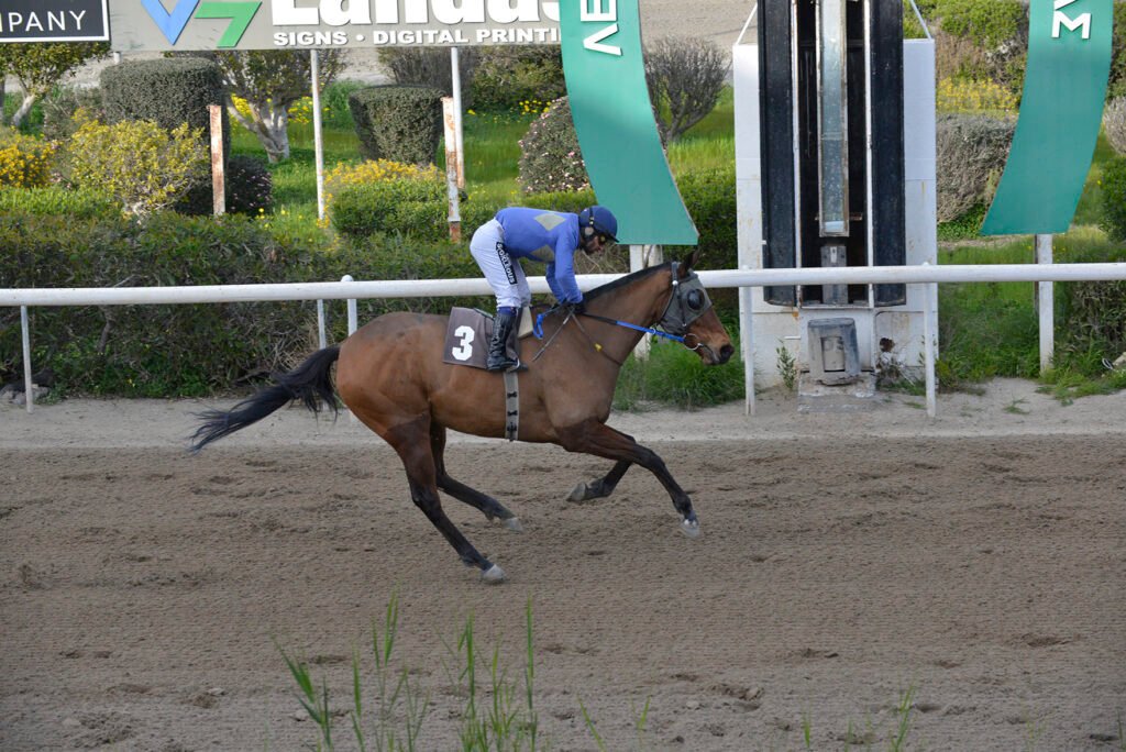 MIDEIA 23.2.25_STK9121