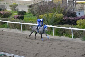 MIS DOUKAL 23.2.25_STK9109