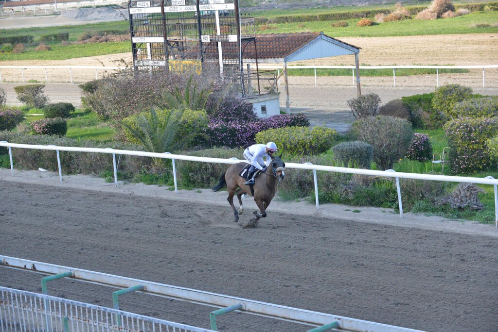 MISTER KOUPAS_STK7759