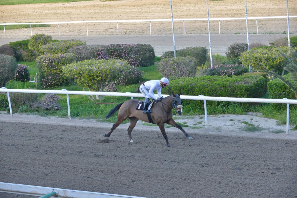 MISTER KOUPAS_STK7760