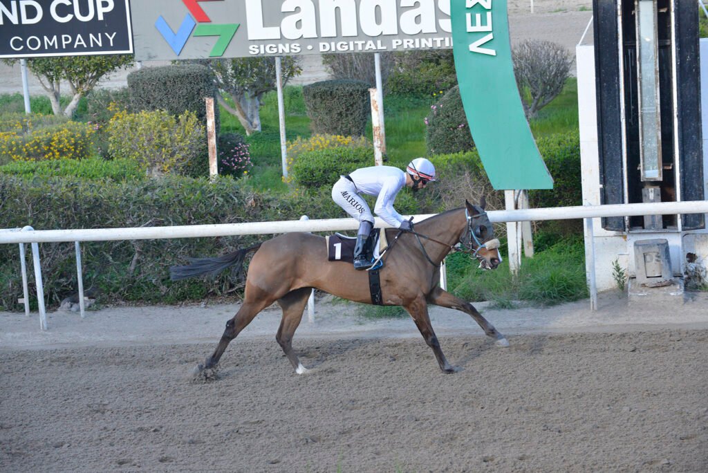 MISTER KOUPAS_STK7761