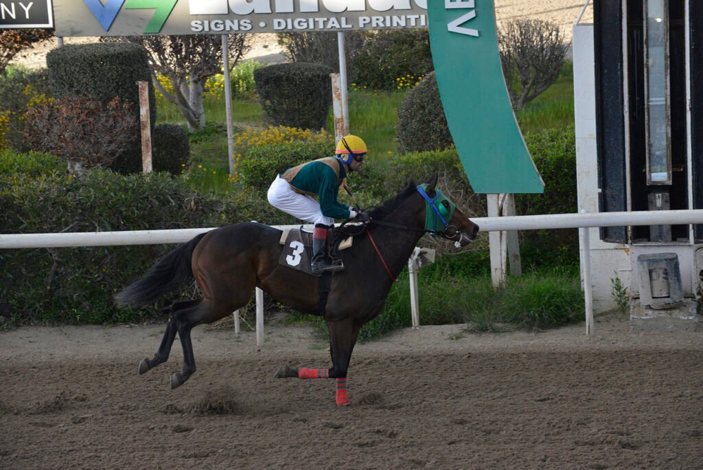 ORTANTZA 26.2.25_STK9238