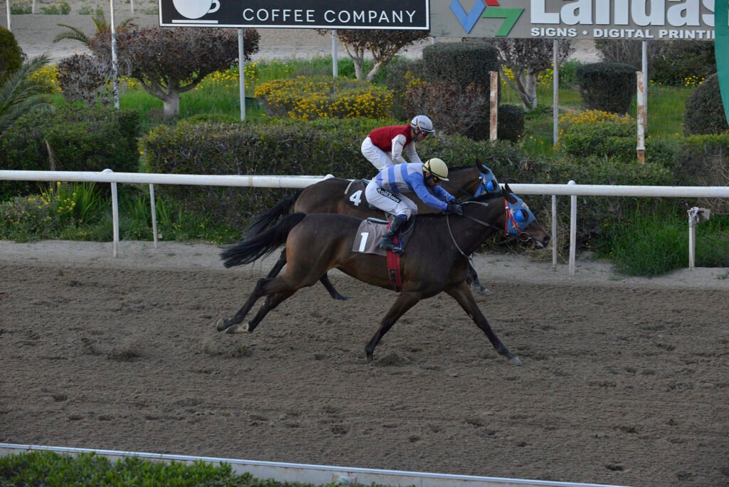 PLIMOUTH 26.2.25_STK9253