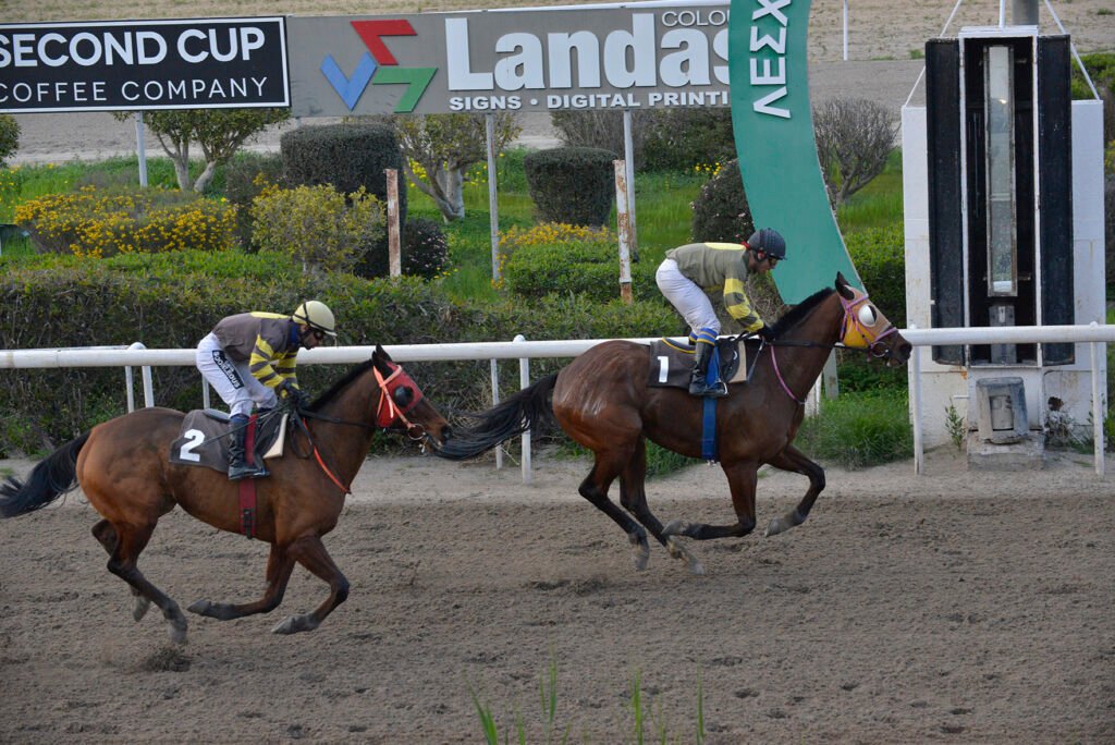 PLOUTARCHOS 16.2.25_STK8930