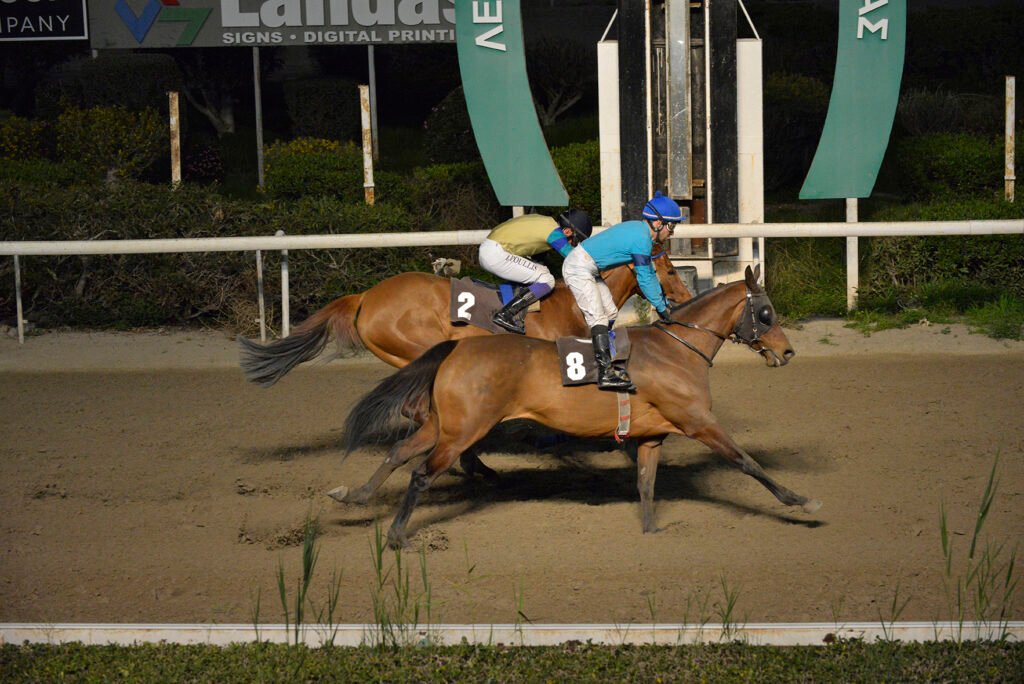 PRINSES RANIA_STK7799