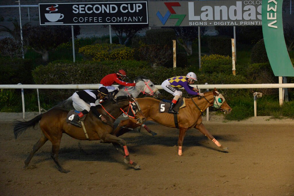 PYRICHIOS 26.2.25_STK9260