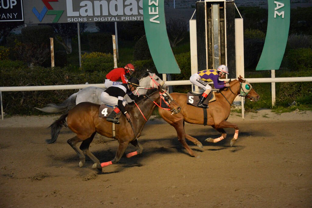 PYRICHIOS 26.2.25_STK9261