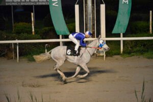 ROMBIN BLANCO 5.2.25_STK7870