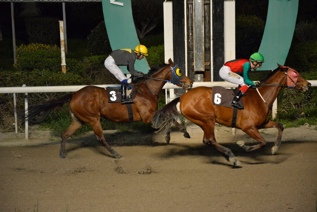 SANTI MAGETINA_STK8006