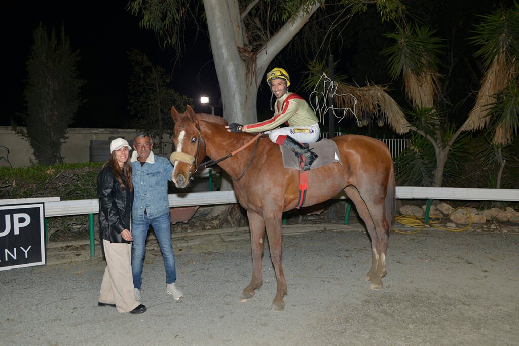 SIR LANCELOT_STK7819