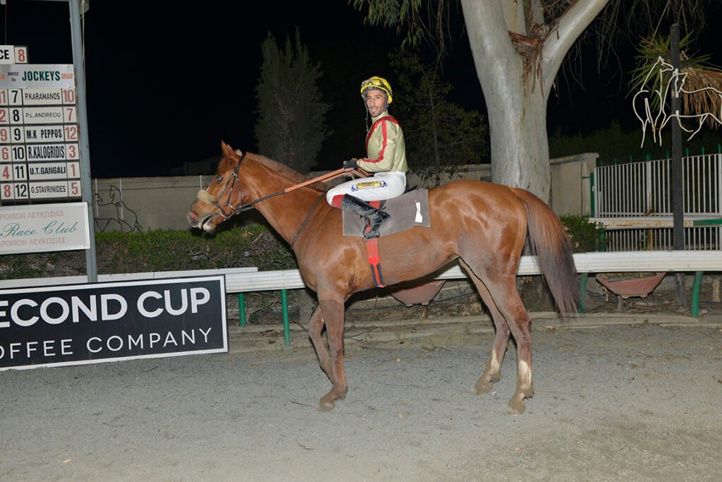 SIR LANCELOT_STK7821