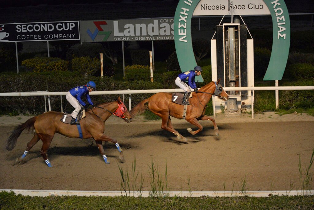 SPARTIATISSA KYP. LIMNIA_STK8956