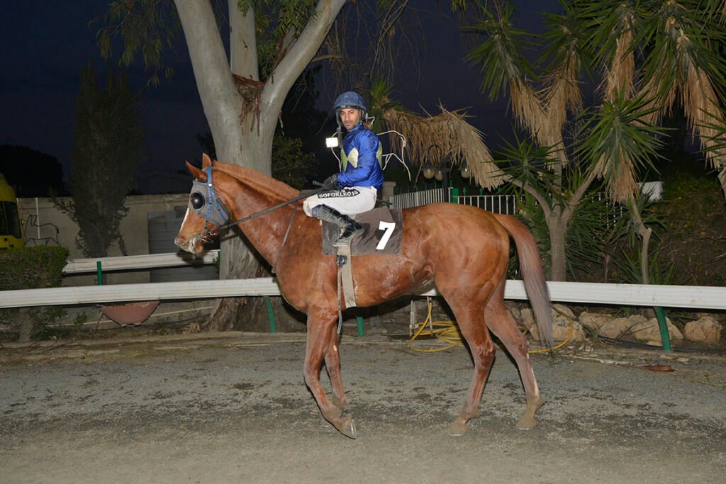 SPARTIATISSA KYP. LIMNIA_STK8968