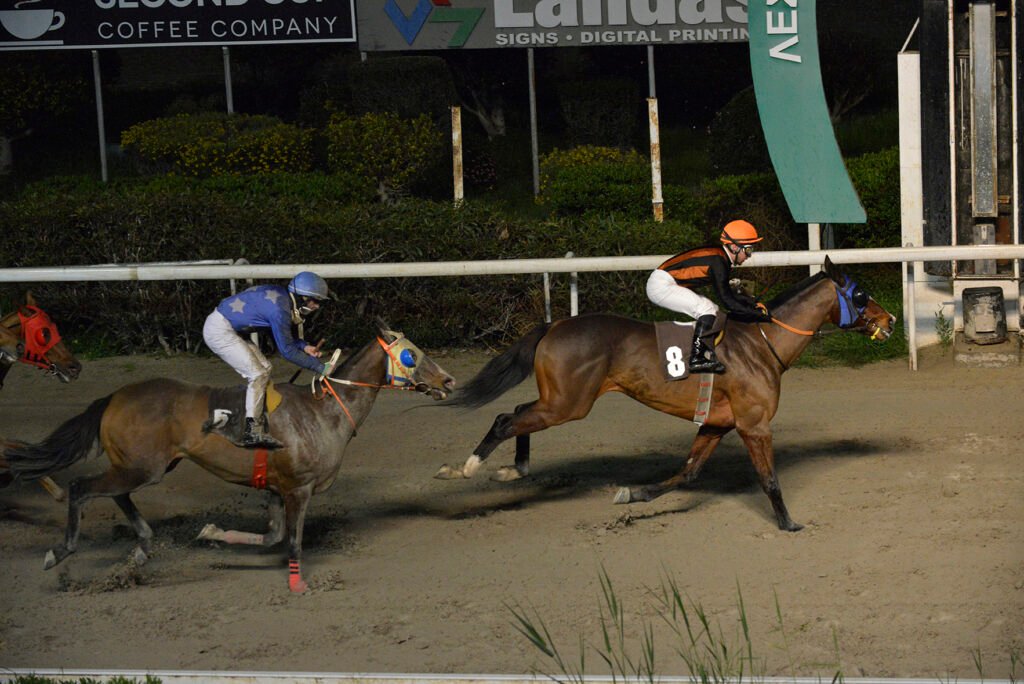 TARAS STAR 5.2.25_STK7887