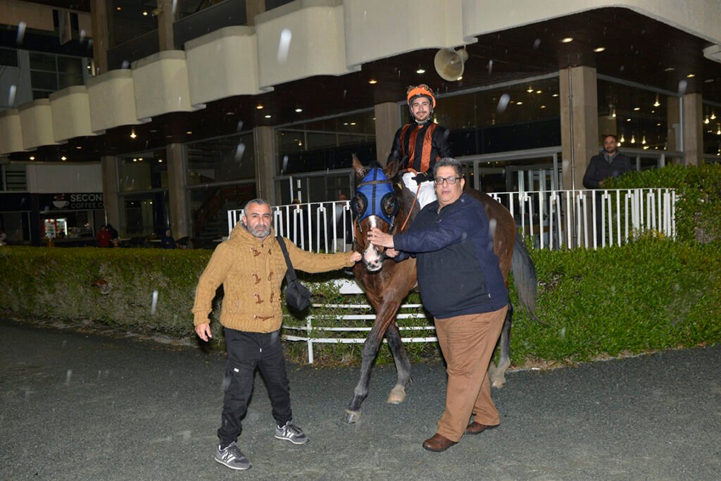 TARAS STAR 5.2.25_STK7891