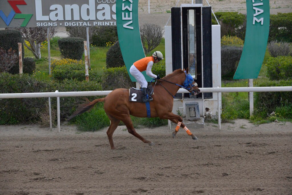 THEOFILOS 26.2.25_STK9214