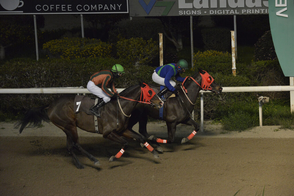 VITTIS PAMBOS 23.2.25_STK9200