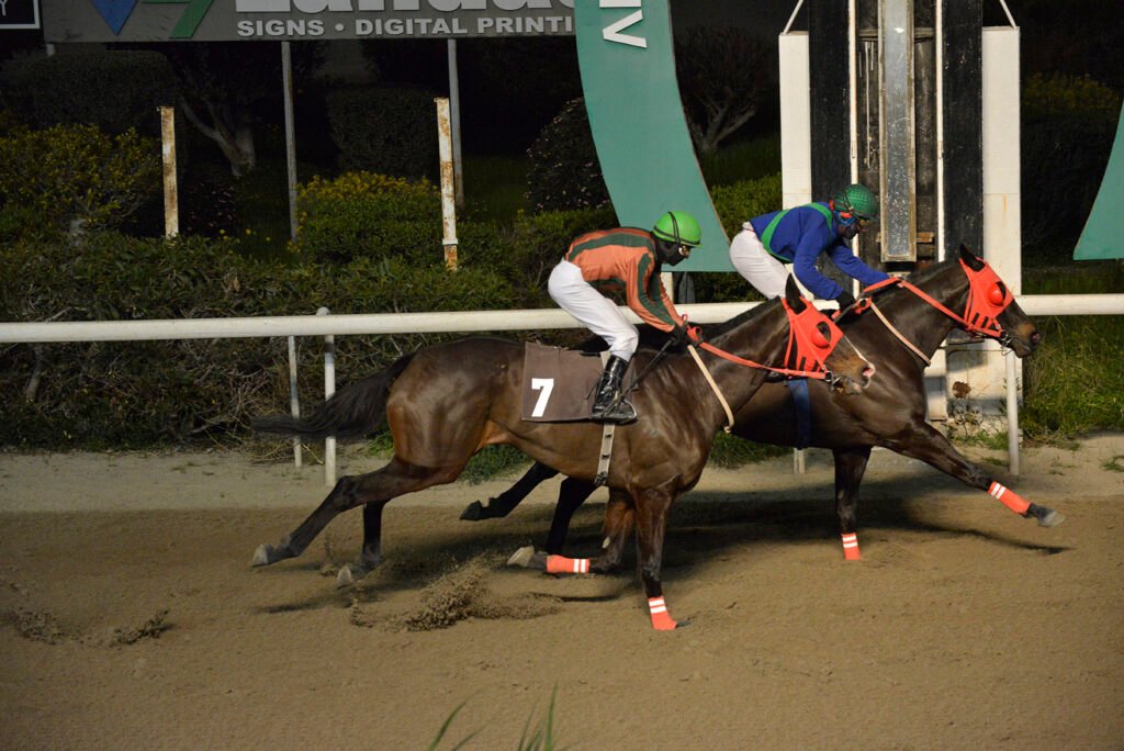 VITTIS PAMBOS 23.2.25_STK9201