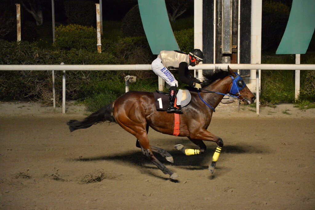 ZIGKAS 26.2.25_STK9304