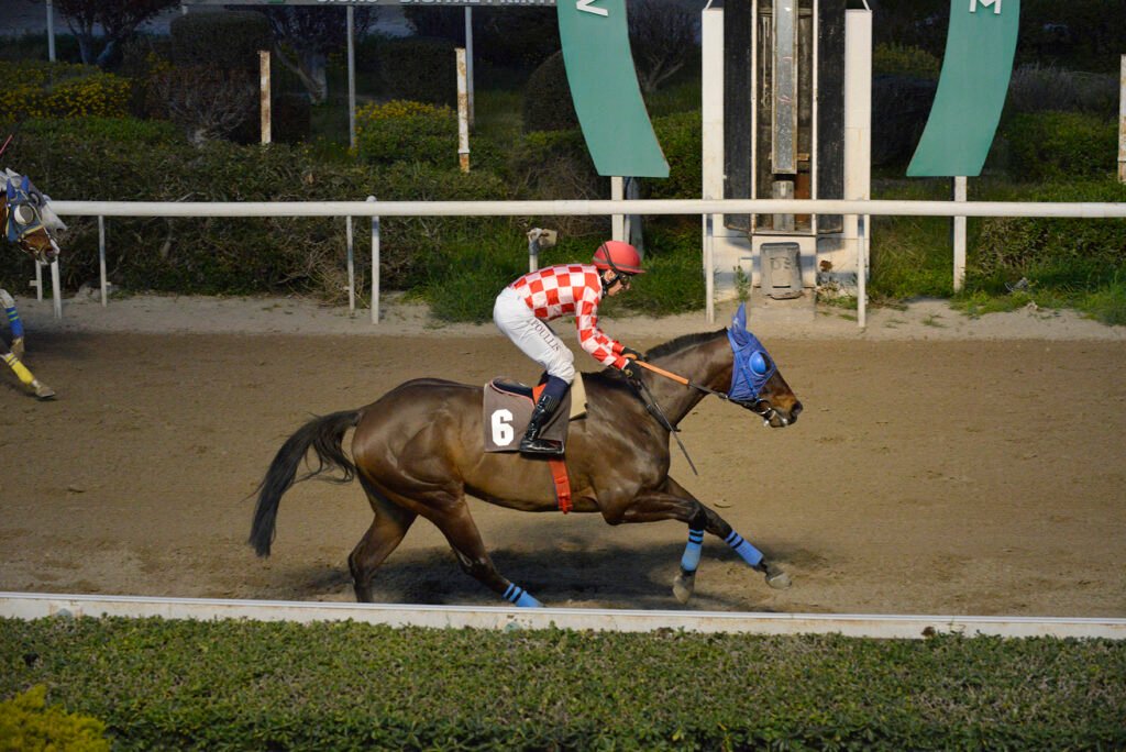 ADONIS KING 1.3.2025