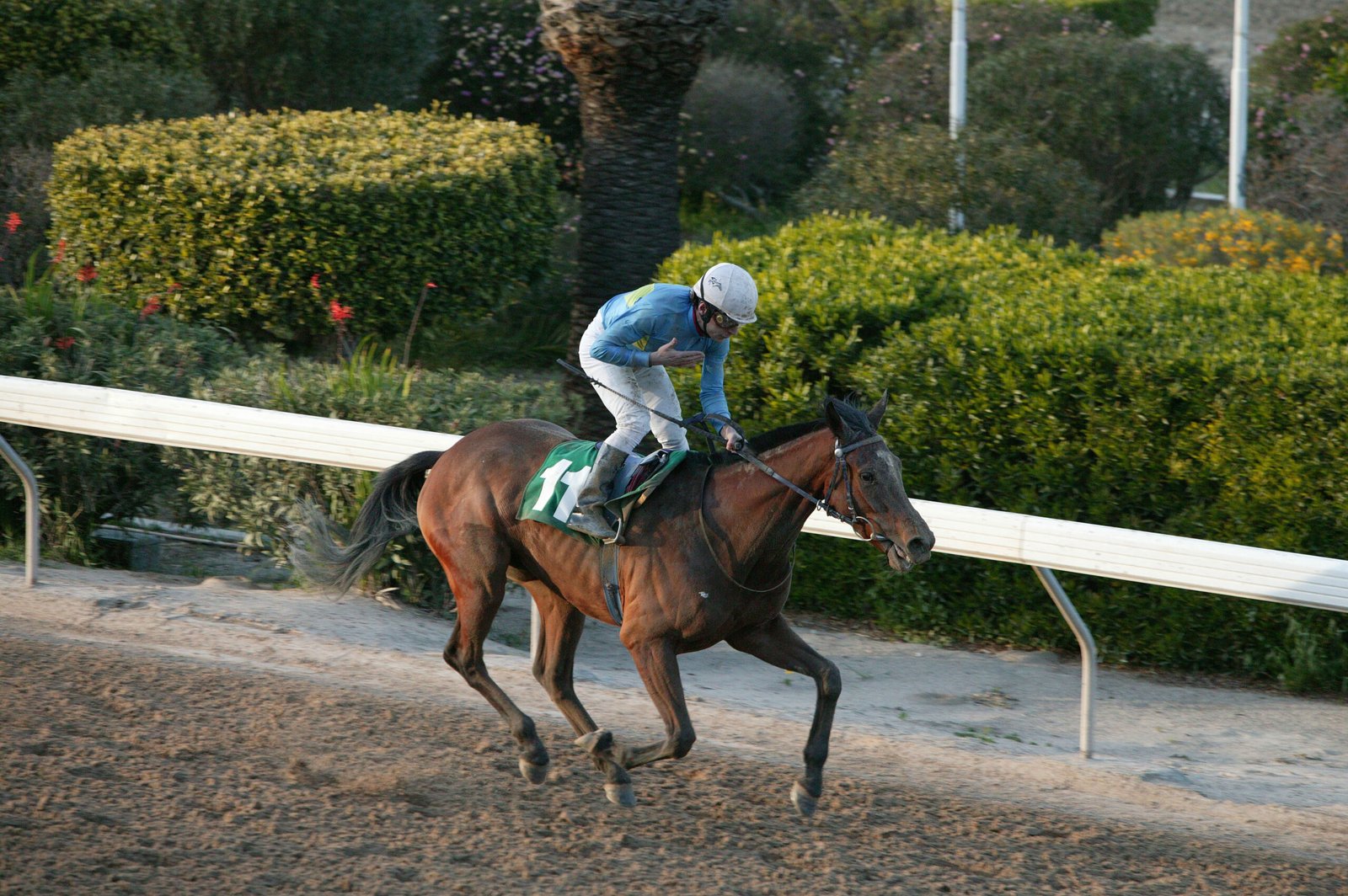 Ανάμικτα συναισθήματα στις απονομές 1 AKRIVI_2A_180307