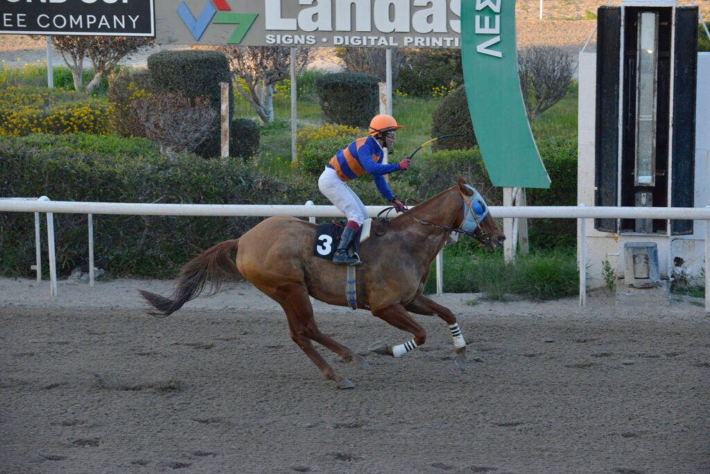 ANDROMENIS 1.3.2025_STK9371