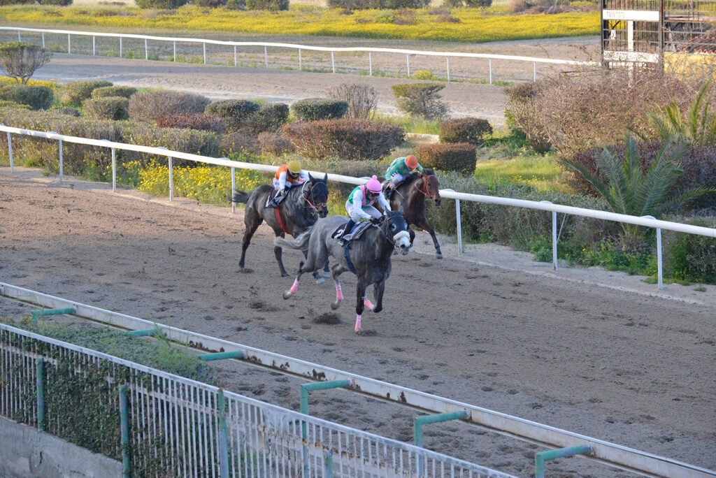 BOUMERANG 1.3.2025_STK9351