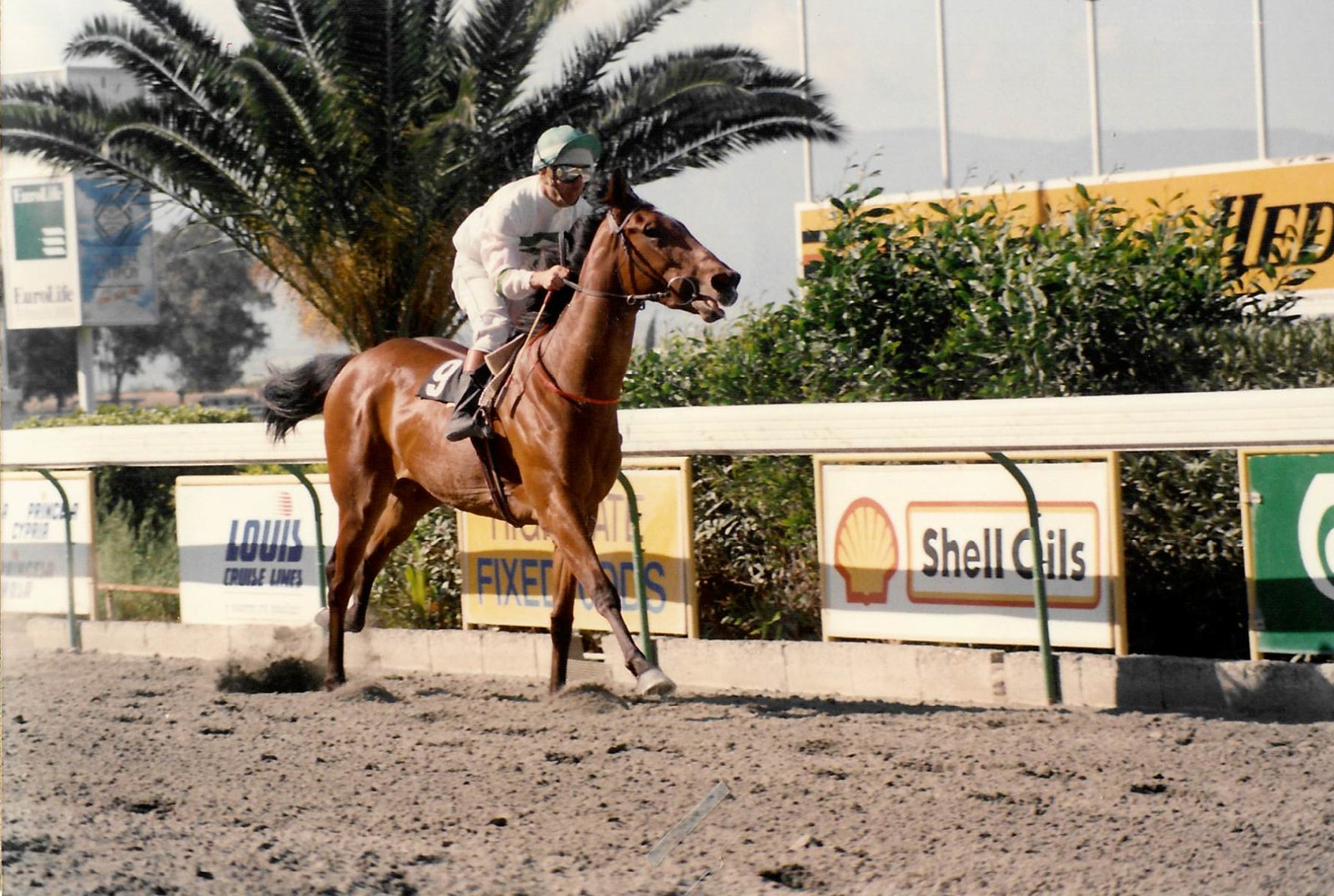 Blinky-1isApriliou-01.04.1994-1