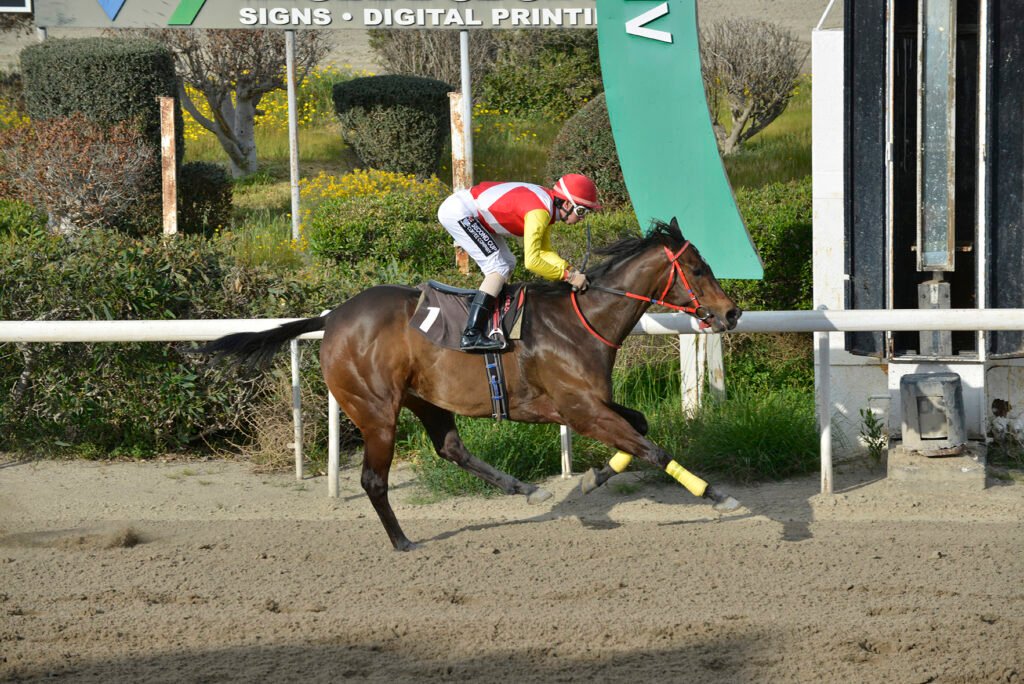 CLEVER MILIONAIRE_STK9505