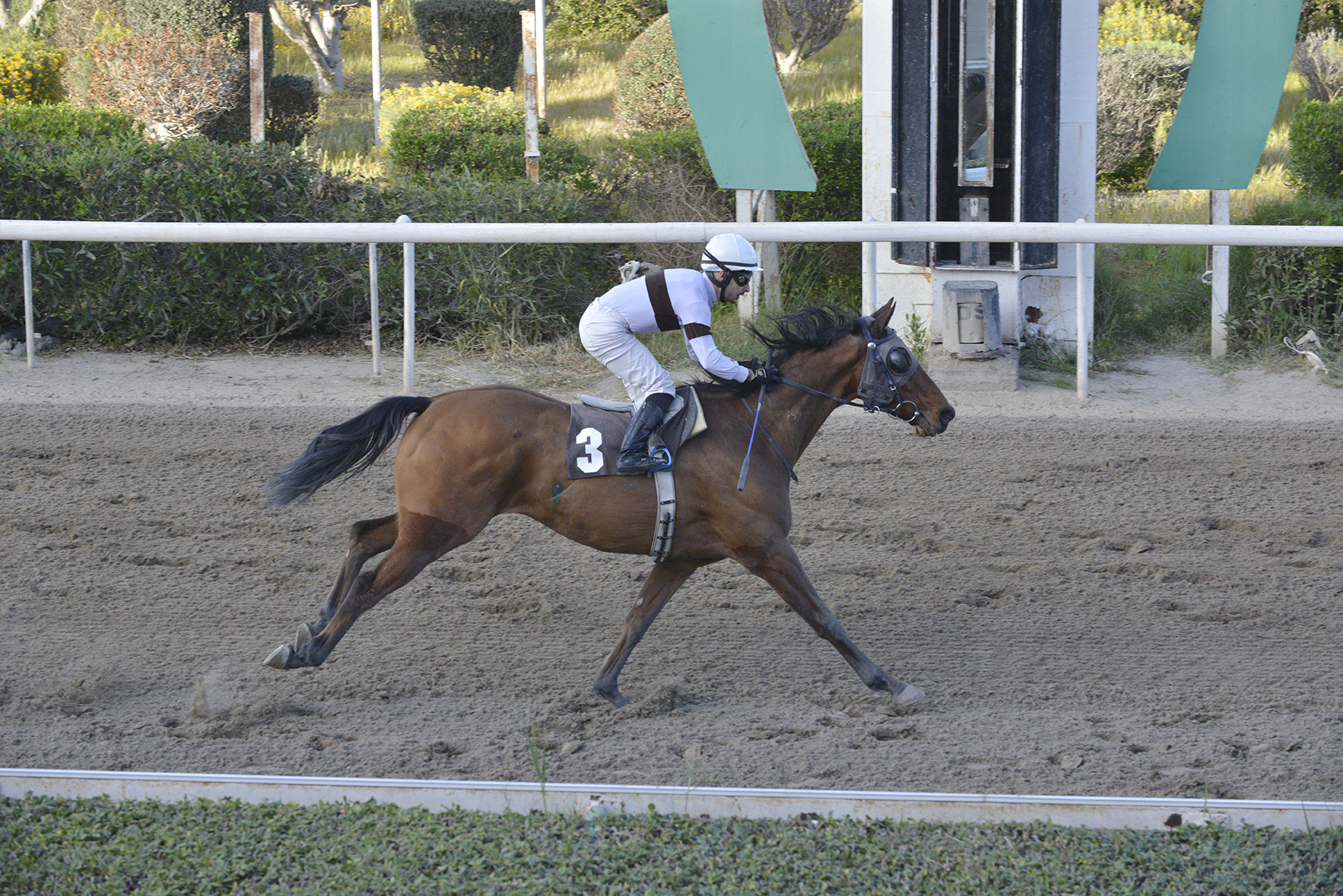 EBABE EP. MARATHONOS 16.3.25_STK9733
