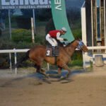 EVNOMIA 16.3.25_STK9761