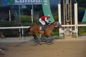 EVNOMIA 16.3.25_STK9761