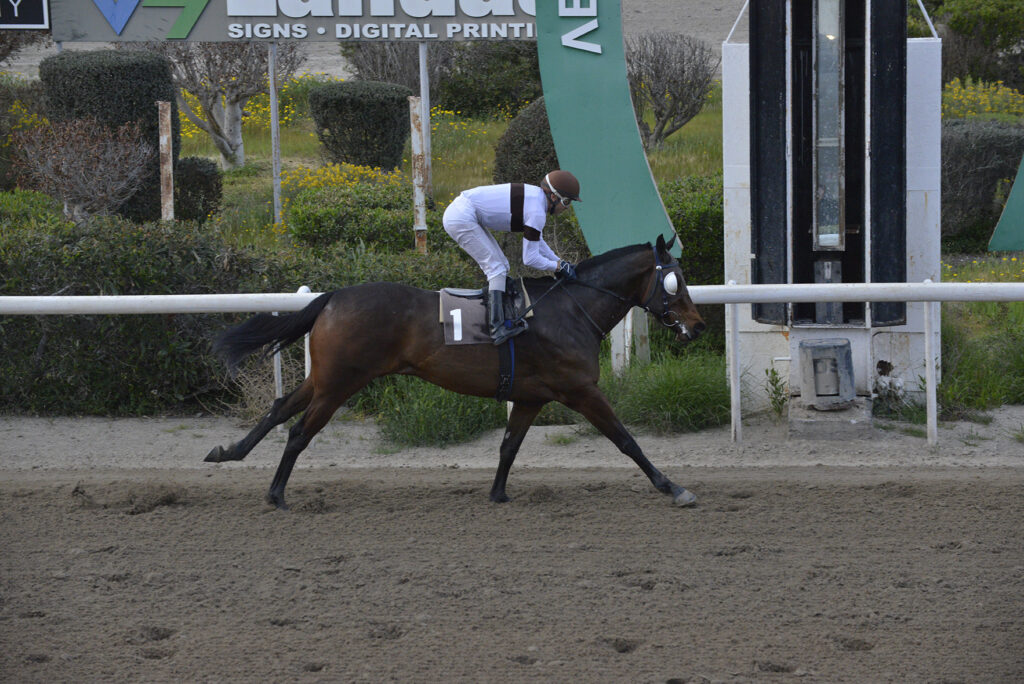 EXCELLENT_STK9528