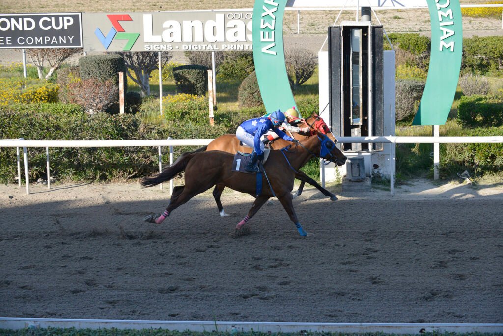 KAMPANABEACHBAR_STK9619