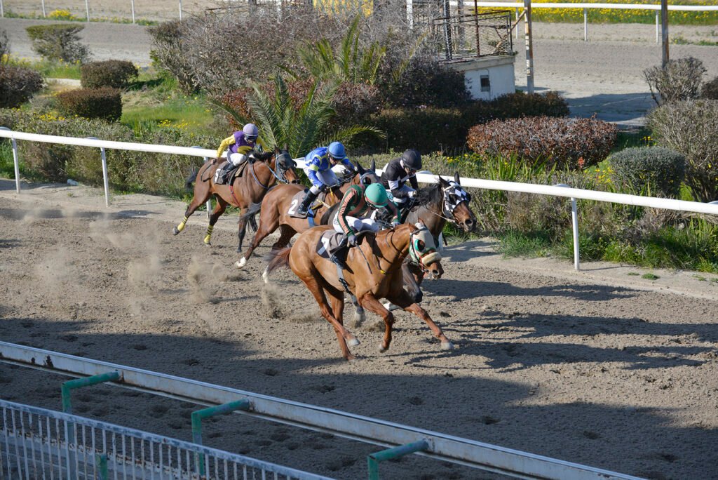 KING PSYLLOS 1.3.2025_STK9320