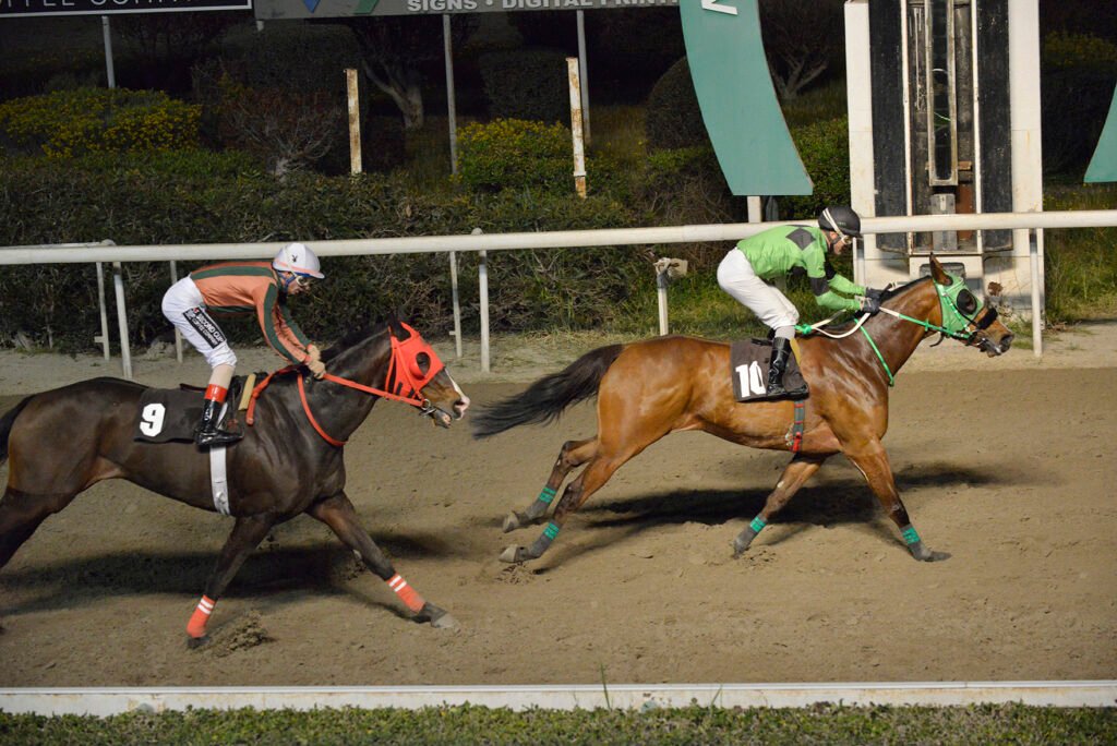 MARI OOU CHARA_STK9672