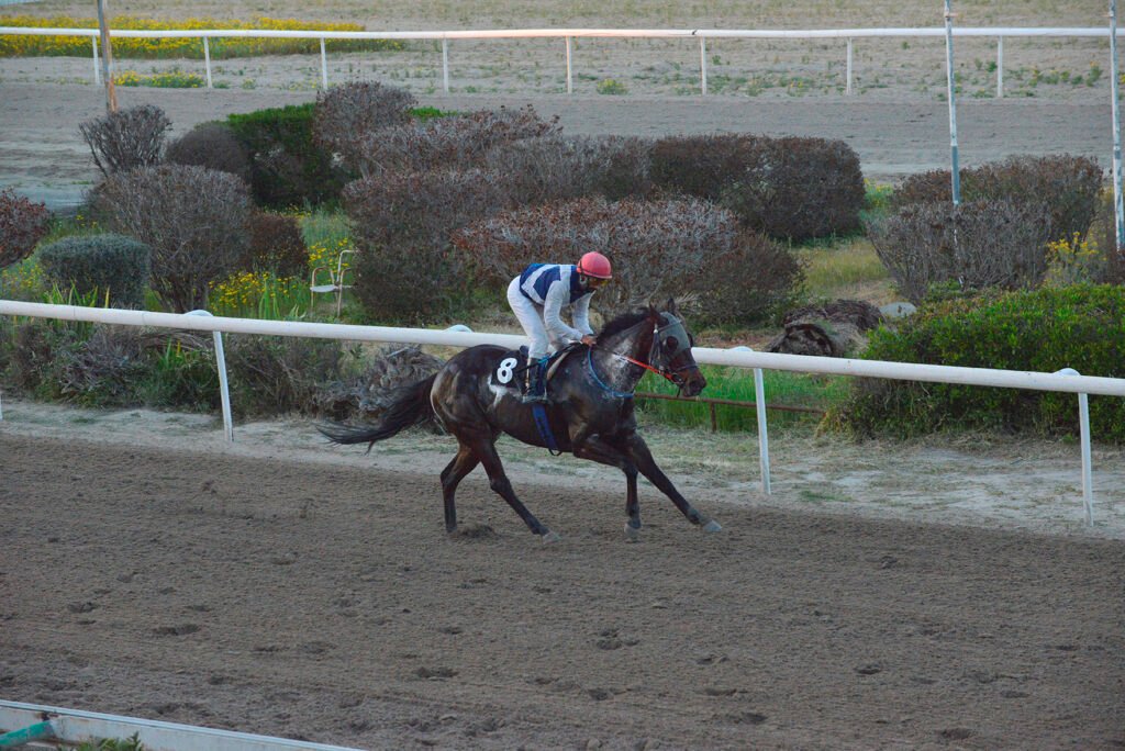 MIKRI VARVARA_STK9660